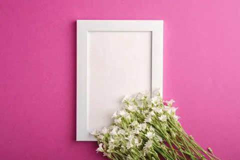 White empty photo frame mockup with mouse-ear chickweed flowers Stock Photos