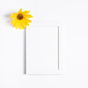 White empty picture frame mock up with yellow flower on white background Stock Photos