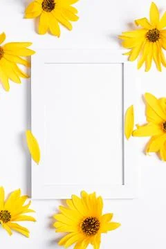 White empty picture frame mock up with yellow flower on white background Stock Photos