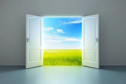 White empty room with opened door Stock-Illustration