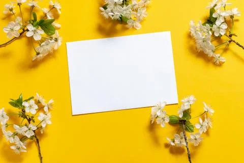 White envelope on a yellow background in a frame of flowers. Stock Photos