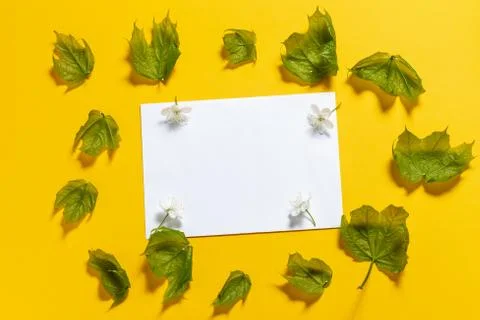 White envelope on a yellow background in the frame of green leaves. Stock Photos