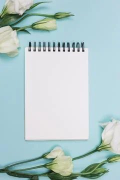 White eustoma flower with blank spiral notepad blue background High resolution Stock Photos
