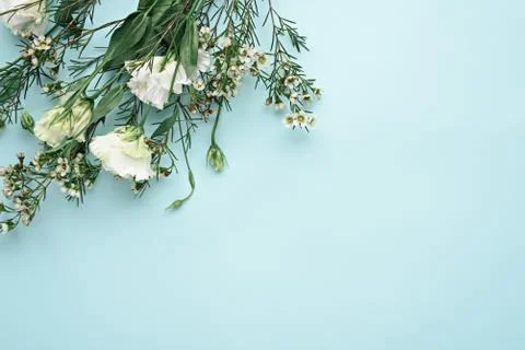 White eustoms in corner of blue background with copy space, space for text Stock Photos