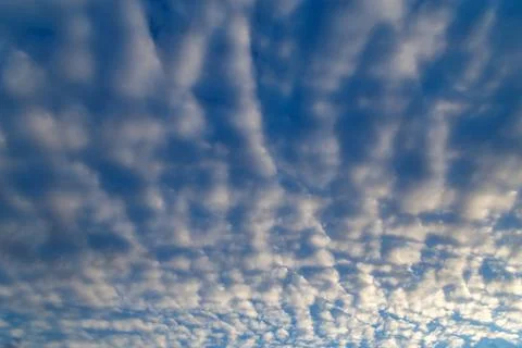 White evening altocumulus clouds on blue sky full frame background Fotos Stock