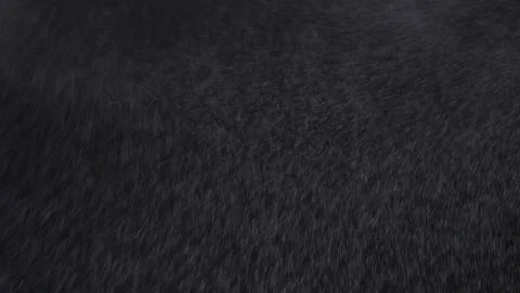 White exploding powder over black background Stock Illustration