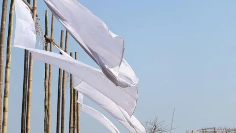 White fabric flags fluttering on bamboo poles under clear blue sky Stock Footage 331276849