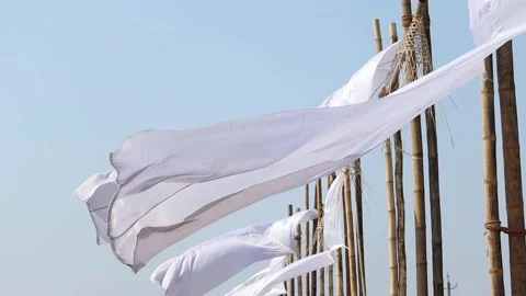 White fabric flags waving dynamically on bamboo poles in open sky Stock Footage 331276866