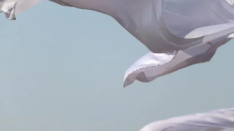 White fabric waves flowing in wind with soft folds and texture Stock Footage 331276885