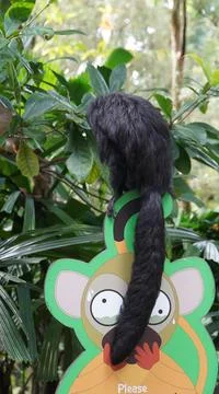 White-faced Saki monkey Flying monkey or Guianan Saki perching on handrail Stock Photos