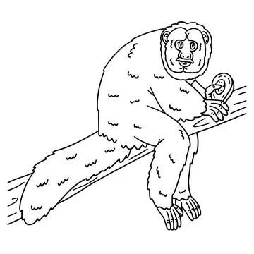 White Faced Saki Monkey Isolated Coloring Page Stock Illustration
