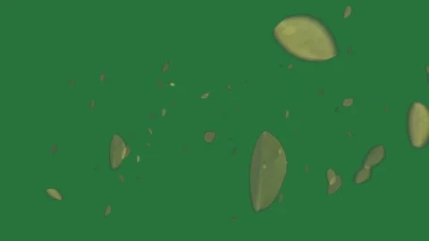 With white falling leaves on screen it butterfly is flying in the air lot of... Stock Footage 336053961