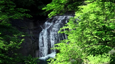 White Fan Falls Video stock 332257848