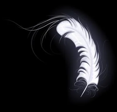 White Feather of the Angel Stock Illustration