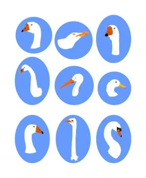 White feather bird collection vector isolated. イラスト素材