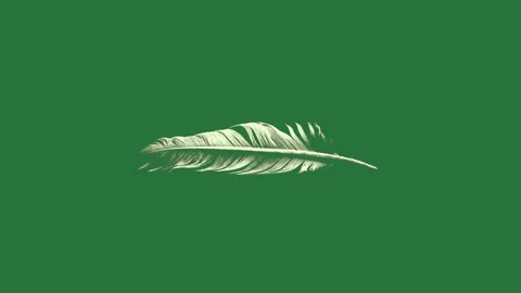 White feather on bird flying in the sky with wallpaper leaf it cartoonish Stock Footage 335979277