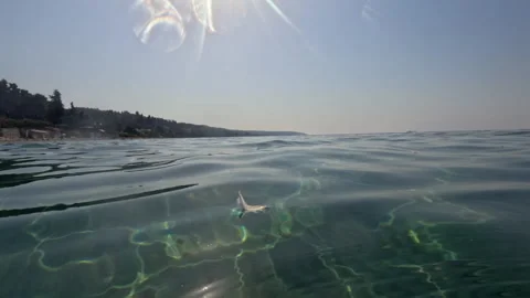 A white feather of a bird on the surface of the sea and fish under the water Video stock 321010682
