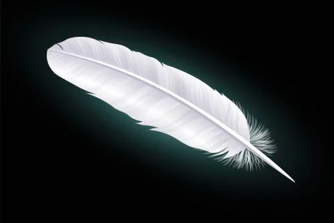 White feather on a black background. Vector Stock-Illustration