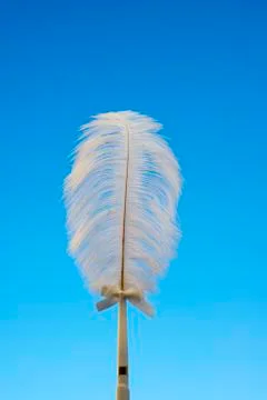 White feather on blue Stock Photos