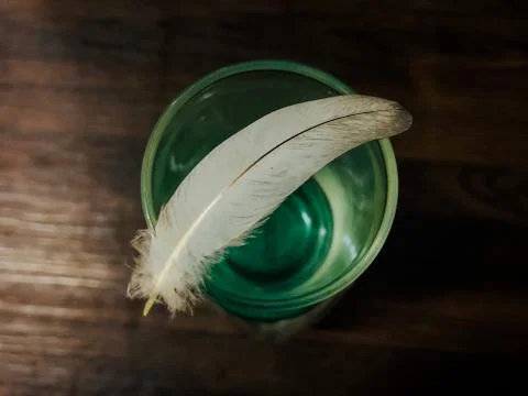 White feather on blur background Stock Photos