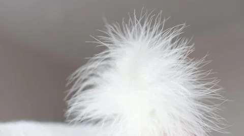 White feather in the breeze develops - close-up Stock Footage 60818037