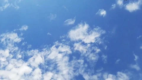 A white feather cloud is flying across the sky Stock-Footage 169774920