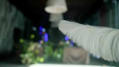 White feather duster closeup with bokeh lights background Stock Footage 339783258