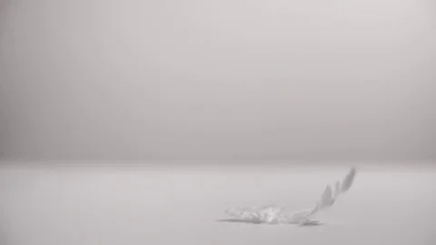 White feather fall down on the table 스톡 동영상 83476696