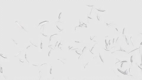 White Feather Float Vídeo Stock 309864658