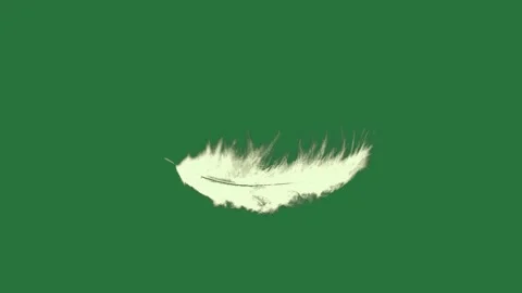 A white feather on green background and flying through screen green screen Stock Footage 335977849