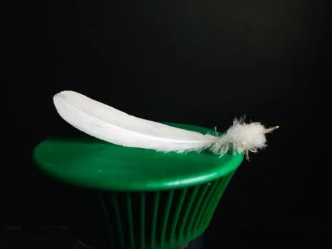 White feather on green surface Stock Photos