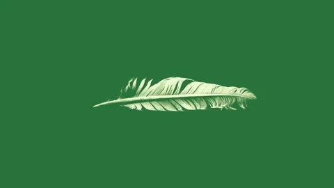 White feather on with an image of leaf large cartoonish Stock Footage 335979309