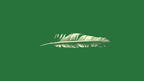 White feather on with it an image of eye Stock-Footage 335979275