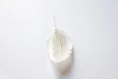 White feather on light background Stock Photos