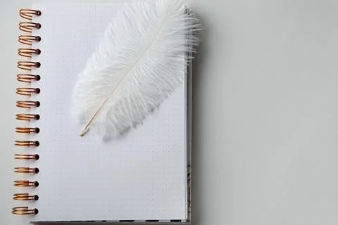 White feather resting on a blank notebook placed on a light gray table taken Foto stock