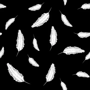 White Feather Seamless Pattern Stock Illustration