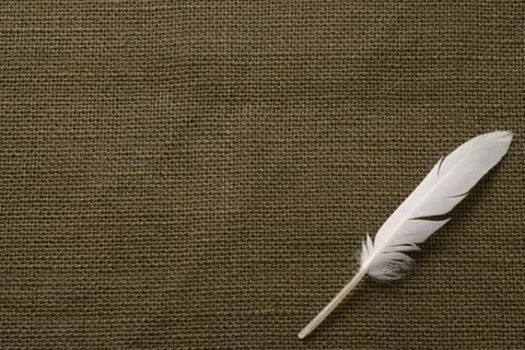 White feather on textile Stock Photos