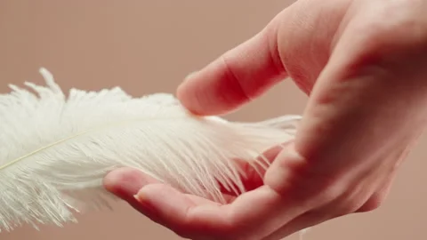 White feather texture, touching soft plumelet on beige background close-up Stock Footage 206441531