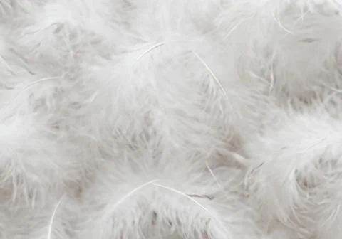 White feather wooly pattern texture Stock Photos