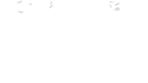 White feathers fall down with alpha channel Stock Footage 132658660