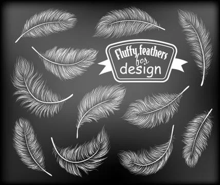 White feathers Stock Illustration