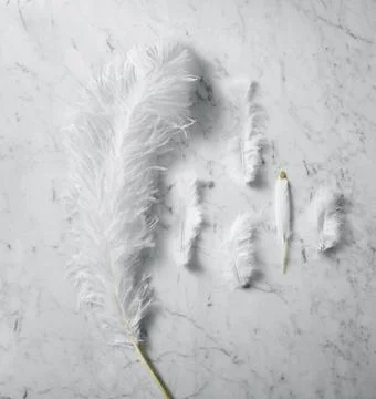 White Feathers on Marble Surface Stock Photos