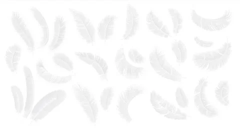 White feathers. Realistic 3D fluffy bird plume in different angle, feather Stock Illustration