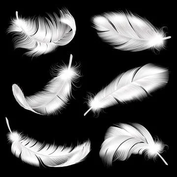 White feathers realistic set. Falling fluffy twirled bird plume in different Illustration