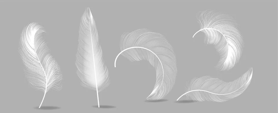 White Feathers Set Vector. Insomnia, Healthy Sleep, Dreams Concept. Isolated Stock Illustration