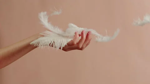 White feathers texture, hand catching soft plumelets on pink background close-up Stock Footage 206440991