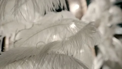 White feathers in the wind Stock Footage 220275651