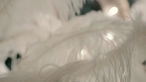 White feathers in the wind Video stock 220275672
