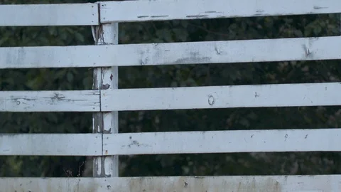 White Fence Stock Footage 88408770