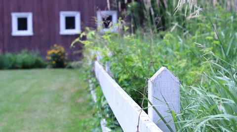 White Fence in front of Barn and Field Stock-Footage 33756750